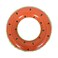 Sun Club Fruit Slice Themed Swim Tube Assorted