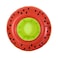 Sun Club Fruit Themed Cup Holder Assorted