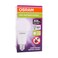 Osram Anti Bacterial LED Light Bulb 8.5W 840 E27