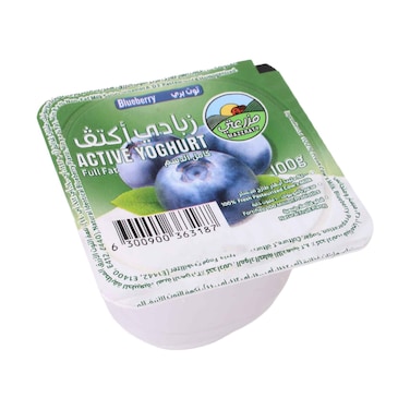 Mazzraty Activ Full Fat Blueberry Yogurt 100g