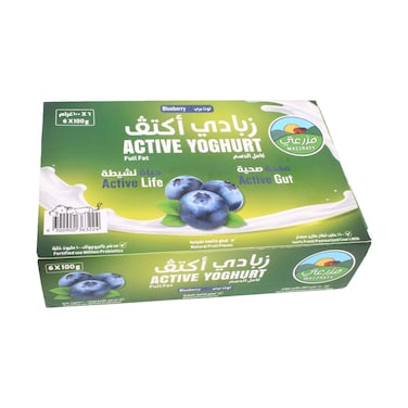 Mazzraty Activ Full Fat Blueberry Yogurt 100g Pack of 6