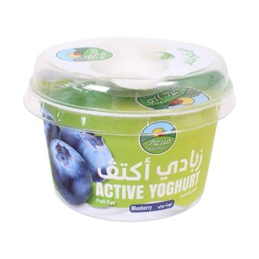 Mazzraty Activ Full Fat Blueberry Yogurt 170g