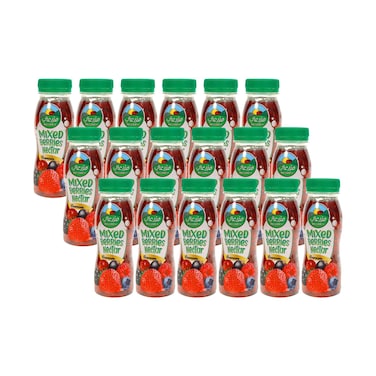 Mazzraty Mixed Berries Nectar Drink 200mlx18