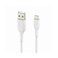 Belkin USB-C to USB-C Cable 3m White
