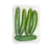 Kenyan Cucumber Long