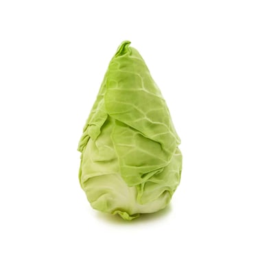 Cabbage Spring