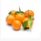 Clementine With Leaves