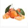 Clementine With Leaves