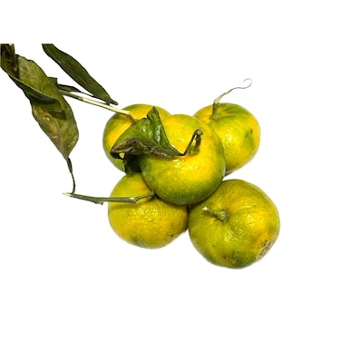 Clementine With Leaves