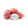 Dragon Fruit White Flash