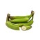 Indian Banana Green