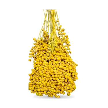 Fresh Yellow Dates Bunch