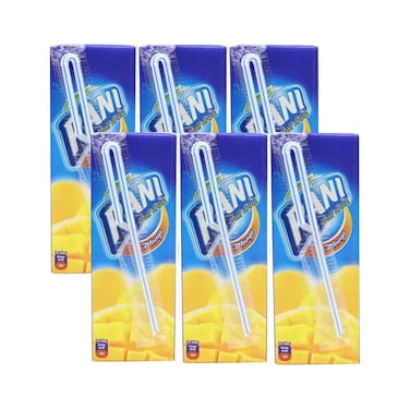 Rani Fruit Drink Mango 250mlx6 Pieces