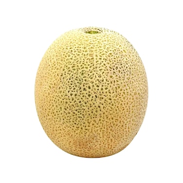 Melon Cantaloup