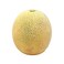 Melon Cantaloup