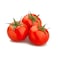 Organic Tomato