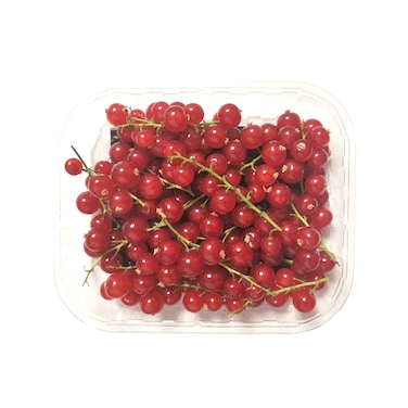 Red Currant Per Pack