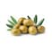 Olives Green Lebanese Zahra