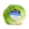 Farm Fresh Kenya Iceberg Lettuce