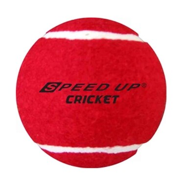 Brightway Cricket Ball Soft Red