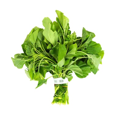 First 1 Green Cheera