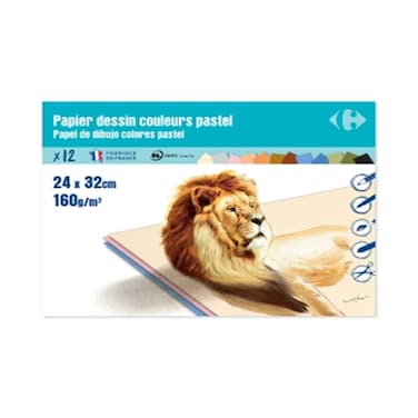 Carrefour Drawing Paper Pastel Color 24x32cm 160gms 12 Sheets