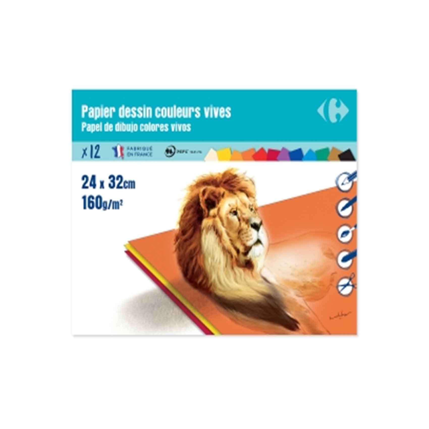 Buy Carrefour Drawing Paper Colored 24X32cm 160G 12 Sheets Online