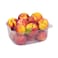 Lebanese Nectarine Pack