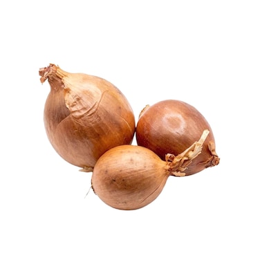 Red Onion Import
