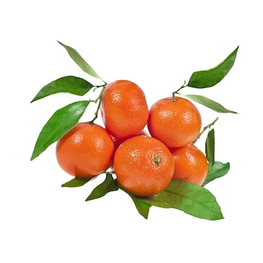 Clementine With Leaves