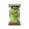 Romaine Lettuce