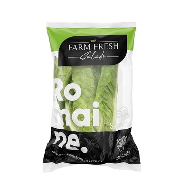Romaine Lettuce