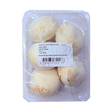 فطر عملاق أغيركو 400 غرام