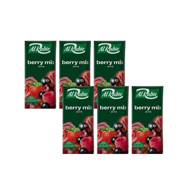 Alrabie Prisma Berry Mix Drink 185mlx6 Pieces