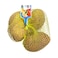 Potato Bag 1kg