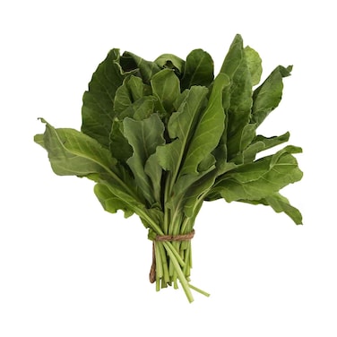 ساليك محلي فاخر