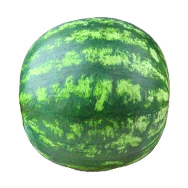 Premium Watermelon Local