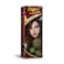 Bigen Speedy No Ammonia Hair Colour Deep Chestnut

