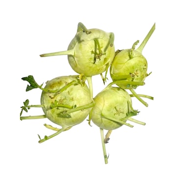 Indian Kohlrabi