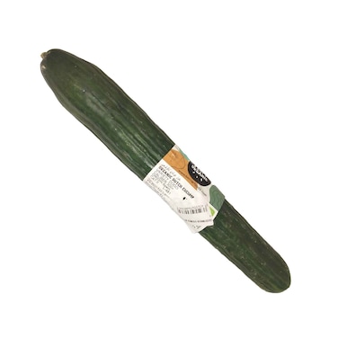 Organic Dutch Cucumber