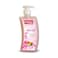 Sanita Hand Wash Assorted 500ml