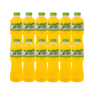أروى ديلايت - مياه بنكهة الحمضيات 500 مل × 12