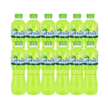 Arwa Delight Lemon And Mint Flavored Drink 500ml x Pack of 12