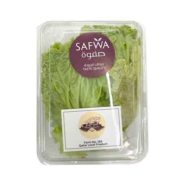 خس لولو صغير محلي 120 غرام