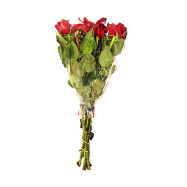 Roses Ever Red 4-6 Pieces