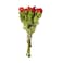 Roses Ever Red 4-6 Pieces