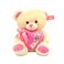 دب ناعم مع قلب متنوع 40 سم