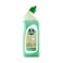 Carrefour Eco Planet Eucalyptus Toilet Gel 750ml