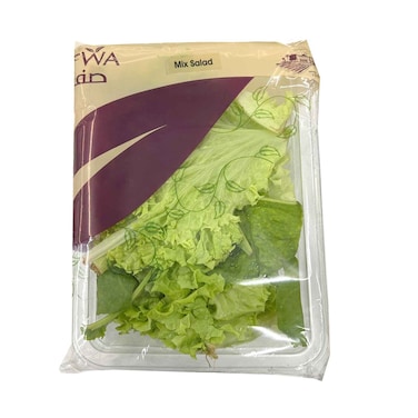 سلطة مشكلة محلية 120 جم