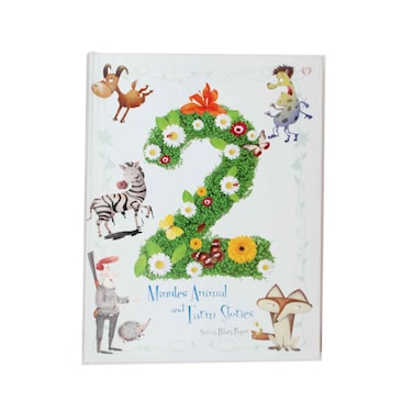 Story Book Assorted